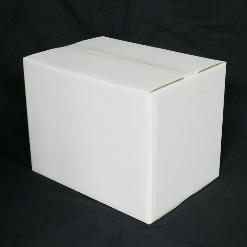 【サイズ:10枚セット】ボックスバンク ダンボール（段ボール箱）100サイズ 白