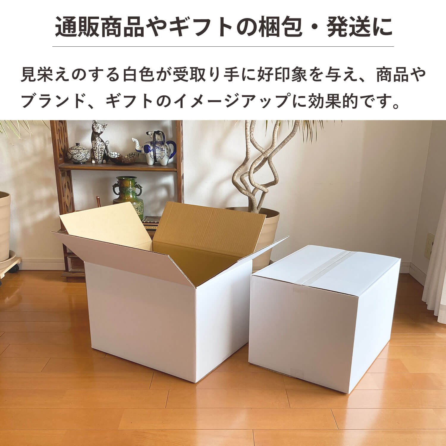 自白 Premium Limited Edition 輸入盤DVD12枚組 LV-N145e ホンダ プレリュード XX ホワイトラグジュアリー（白
